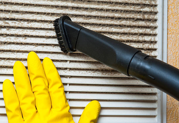 Best Professional Duct Cleaning Services  in Hazen, AR